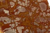 Polished Noreena Jasper Slab - Australia #314233-1